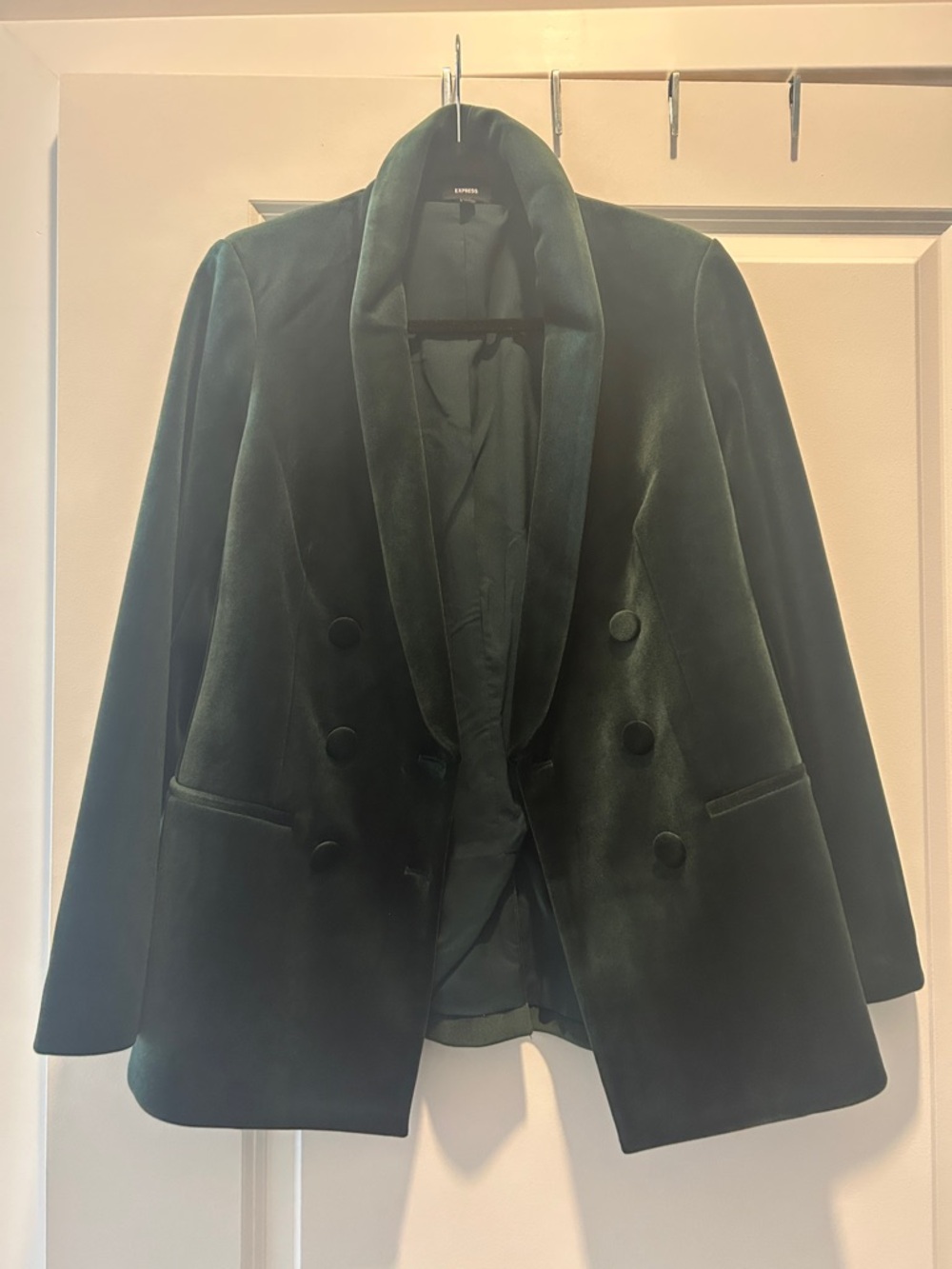 Express Velvet Blazer